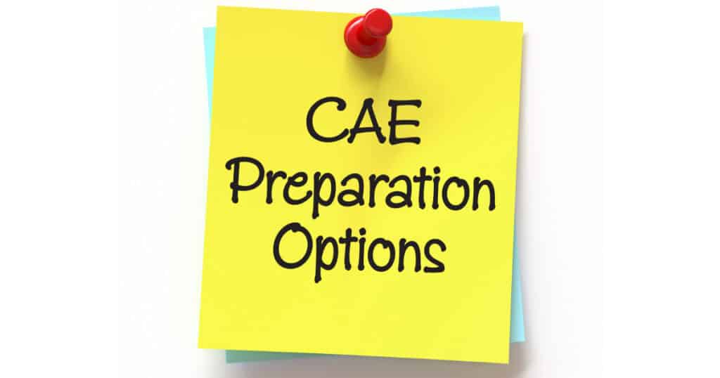 The Landscape of CAE Preparation Options