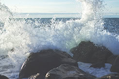 Rocking the Boat: A Shift to a Competency-Based Board During a Pandemic